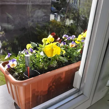 Homestay Mokwy 7 Sopot